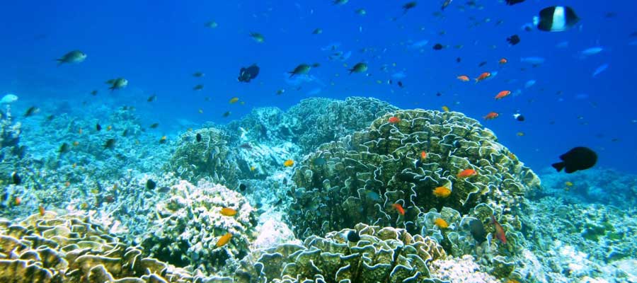 La Nouvelle Zélande pour adeptes de la nature